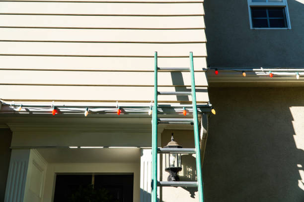 Best Siding Painting and Refinishing  in Appleton, MN