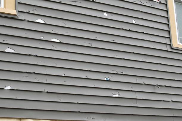 Best Fiber Cement Siding Installation  in Appleton, MN