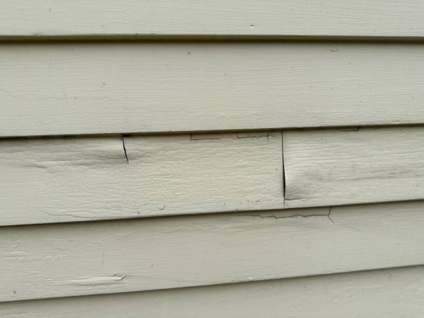  Appleton, MN Siding Pros