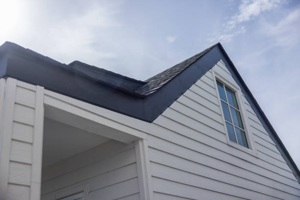 Best Storm Damage Siding Repair  in Appleton, MN