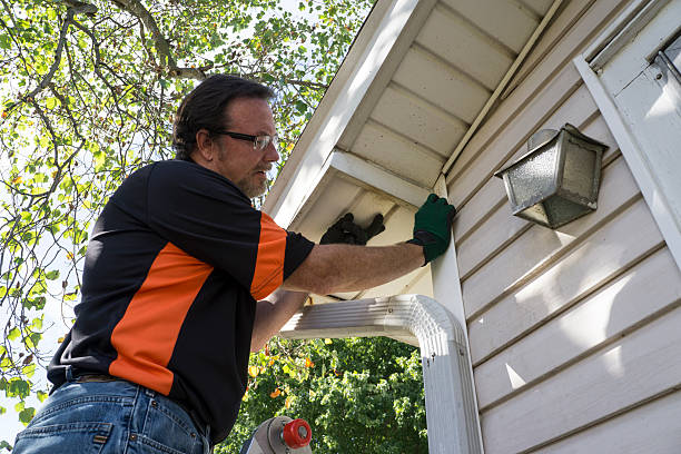 Best Brick Veneer Siding  in Appleton, MN